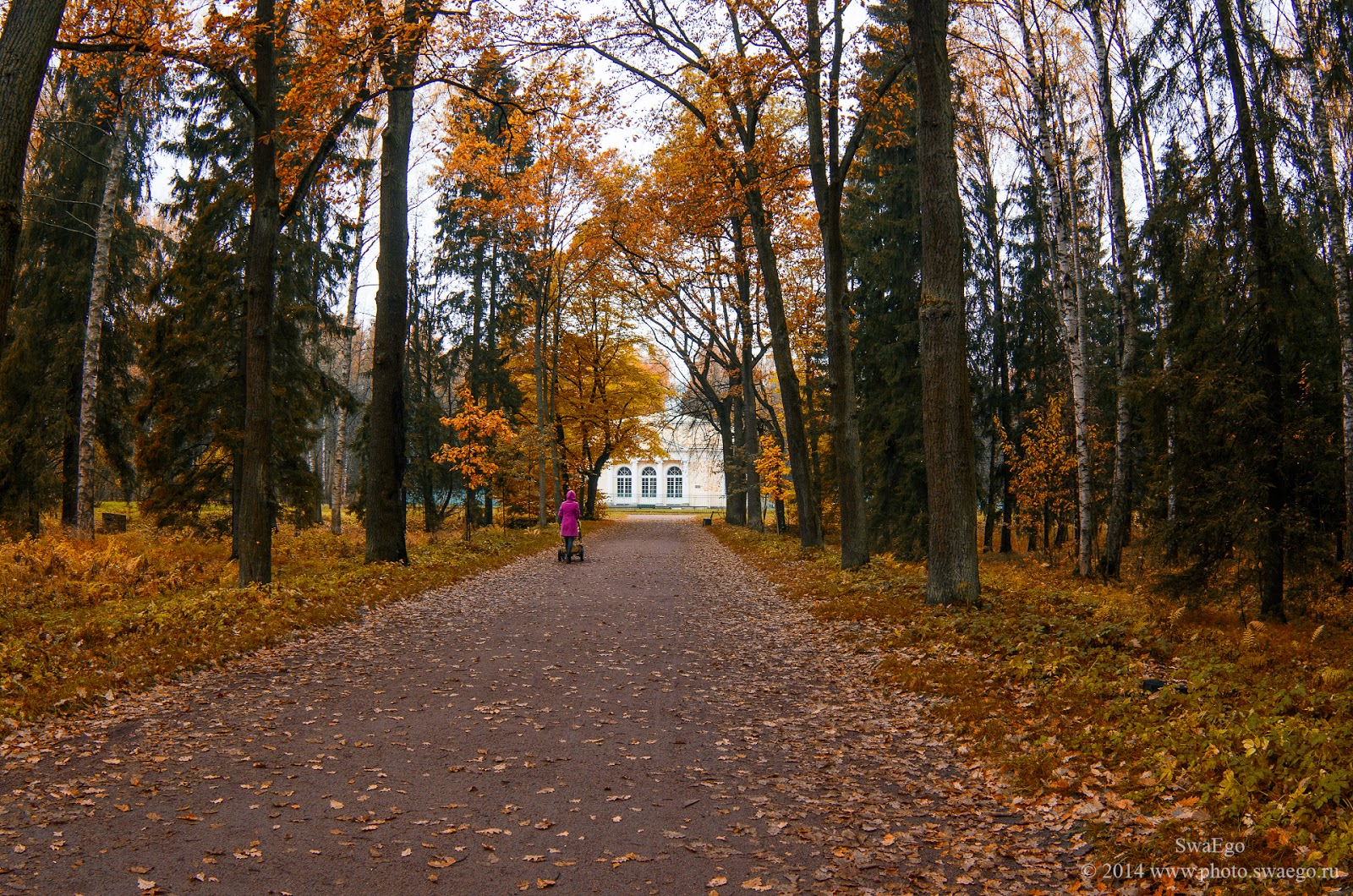 pavlovsk_autumn_2014_10_13_1833